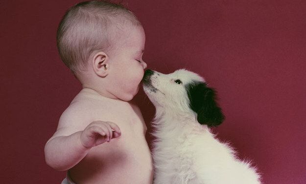 The Ultimate Guide to Puppy Meets Baby Bliss