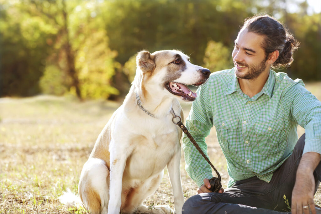  Transform Your Pup into a Polite Pa