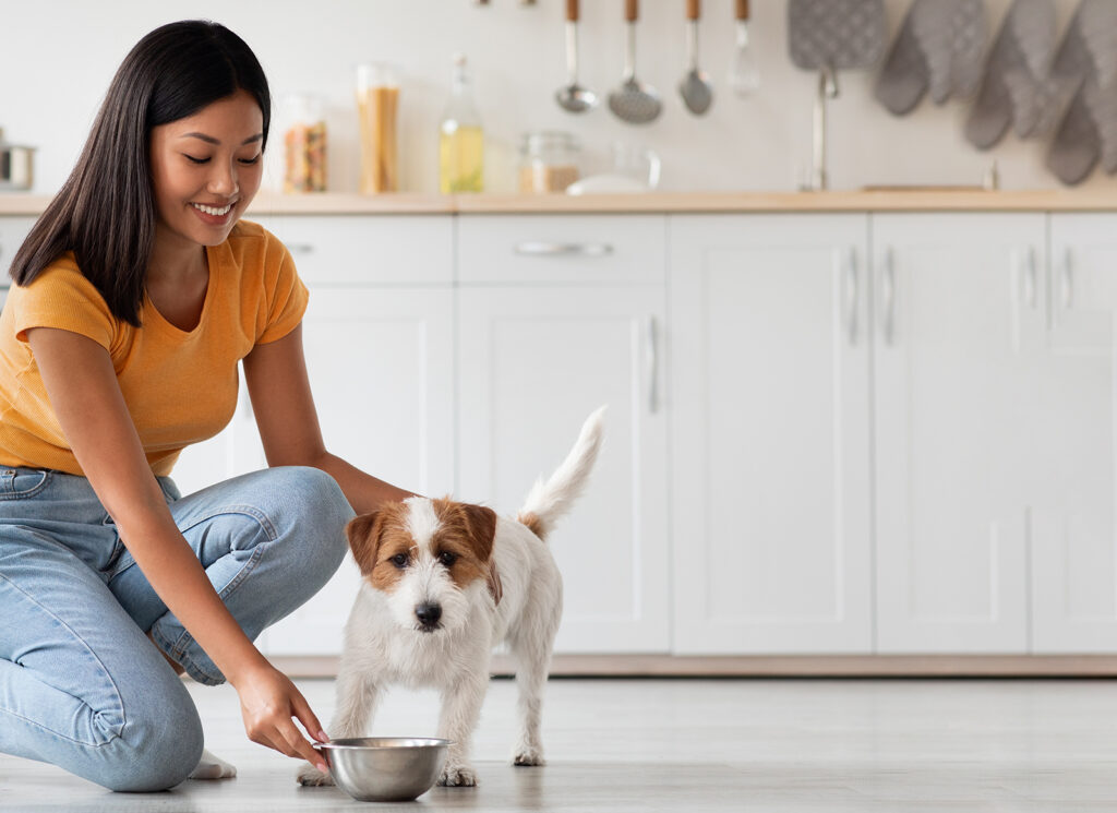 Understanding Small Dog Dietary Needs