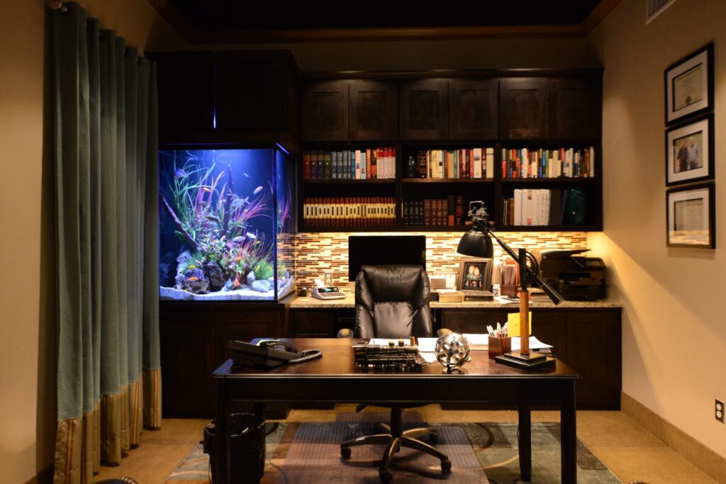 Aquarium in Home Office2