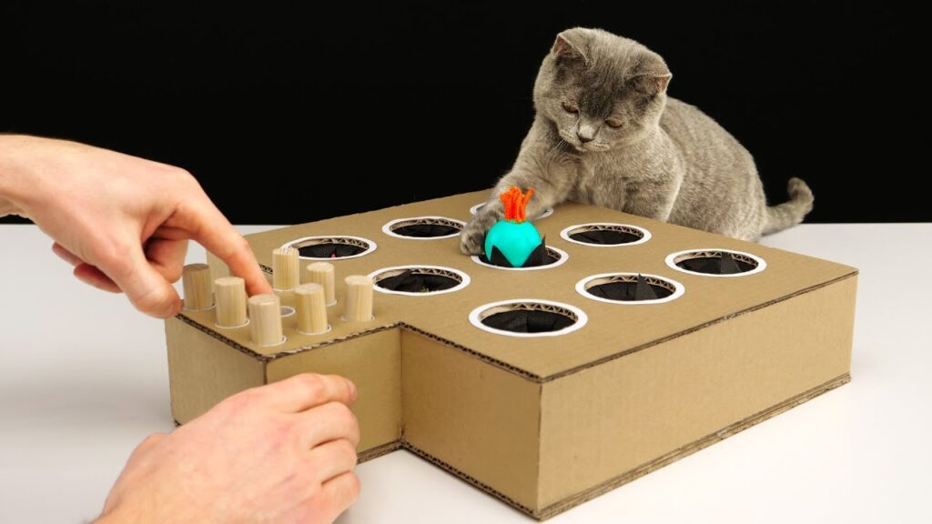 Cardboard Box Maze for DIY Cat Toys