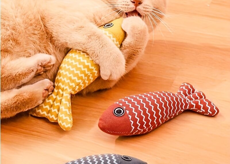 Cat Toys