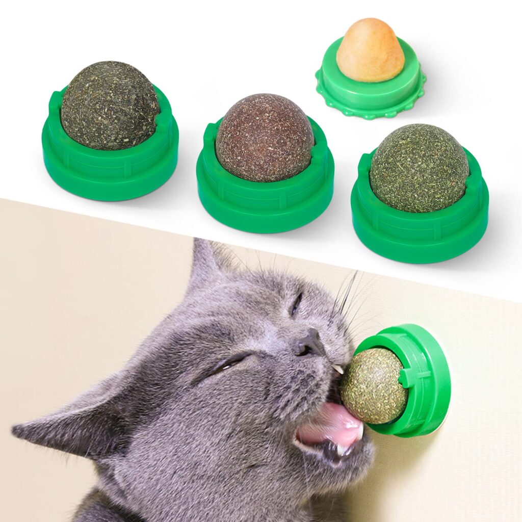 Catnip Toys