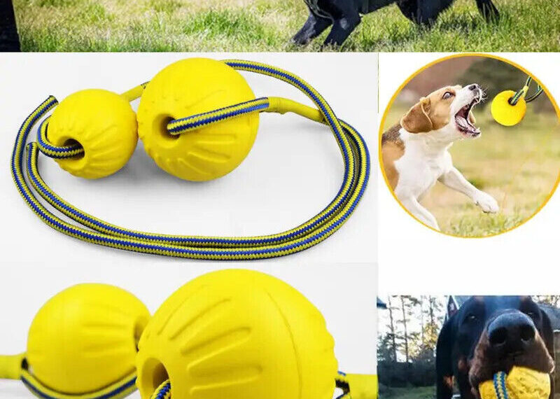 Chew Toys for dog training