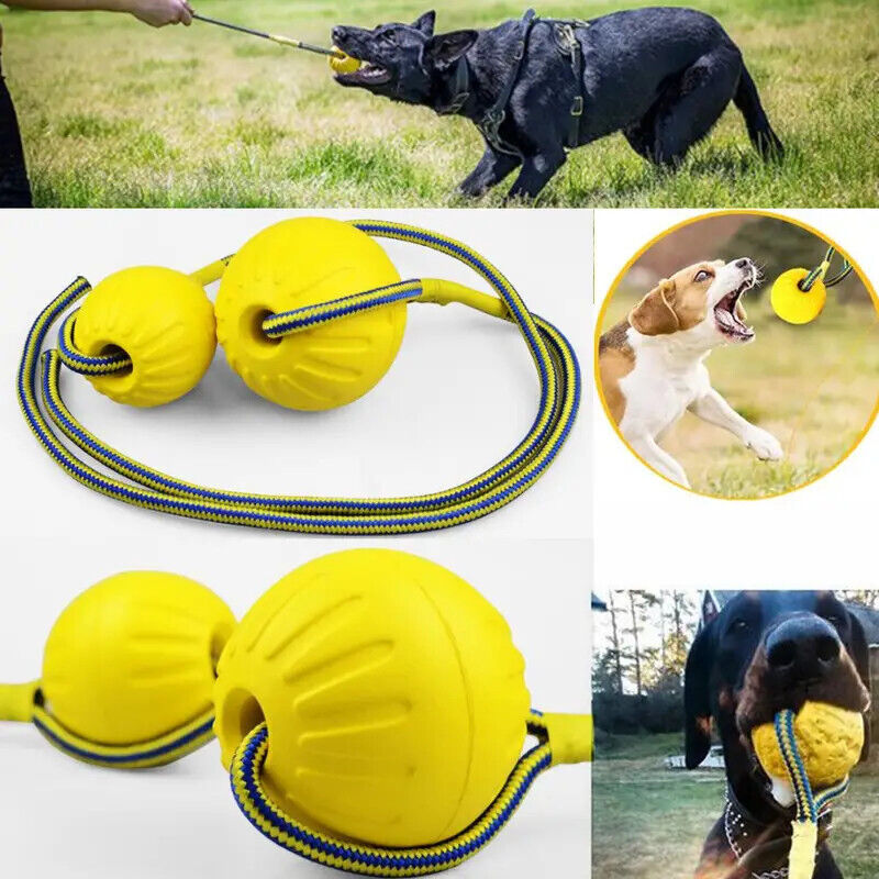 Chew Toys for dog training