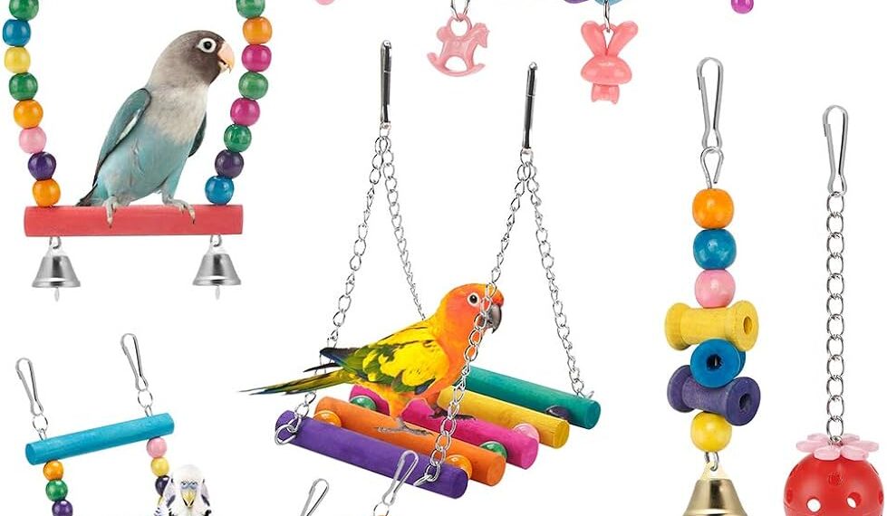 Climbing and Swinging Toys