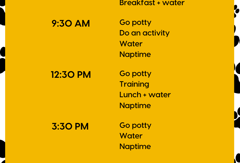 Establishing a Daily Schedules