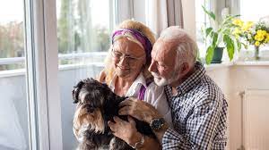 Factors to Consider When Choosing a Small Dog for Seniors