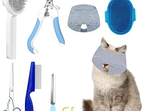 Grooming Supplies for cat training AI