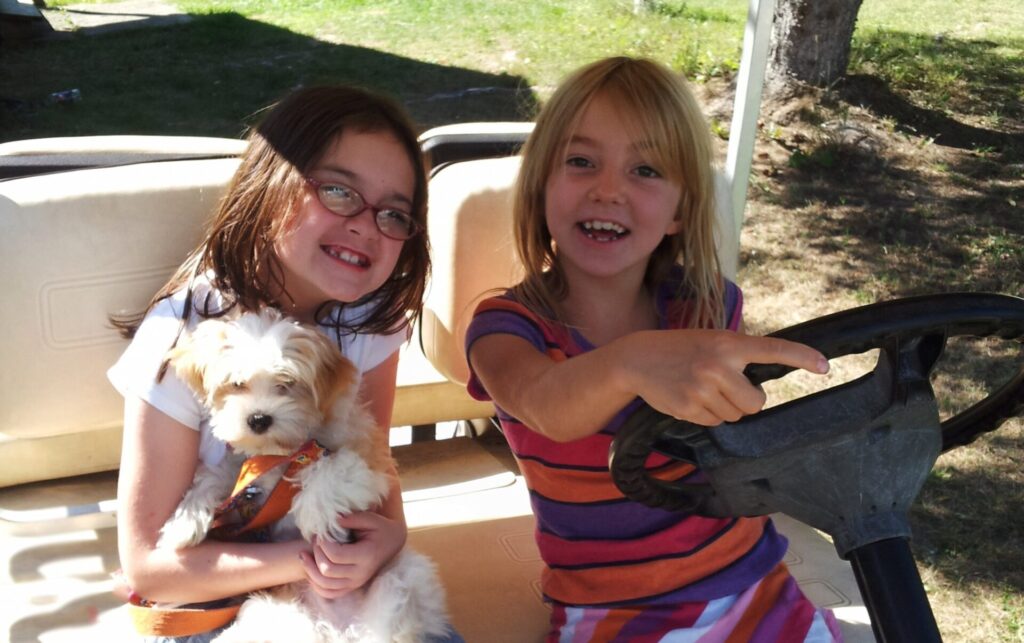 Havanese for kids