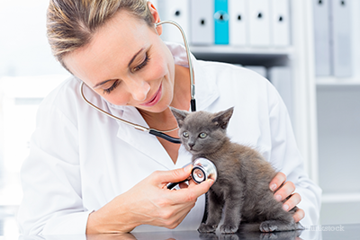 Health Monitoring and Veterinary Care