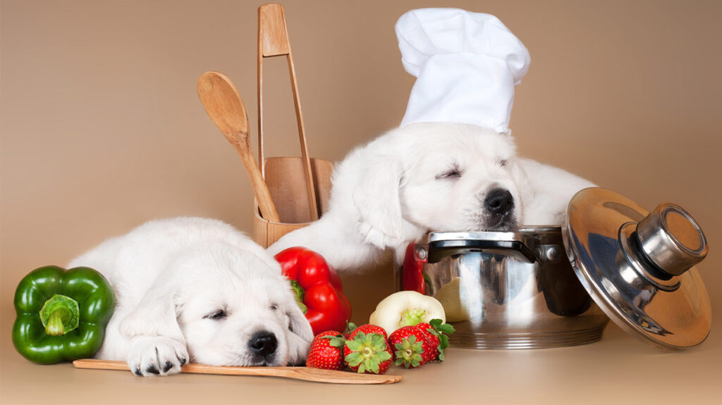 Homemade Dog Food Balancing Nutrientss