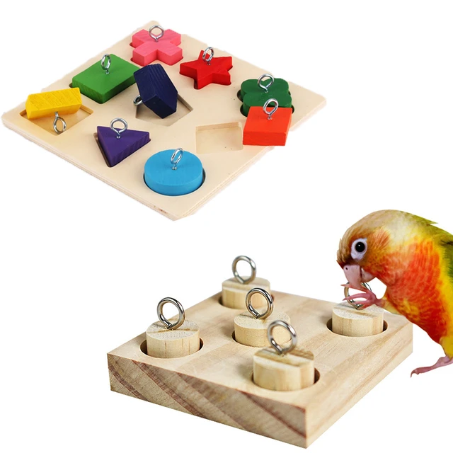 Interactive Puzzle Toys