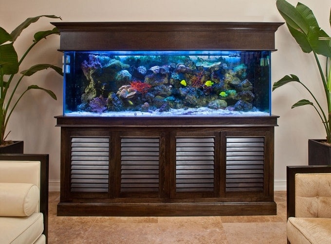 Introduction to Feng Shui Aquariums