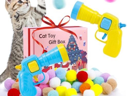 Key Considerations for Safe Cat Toys2