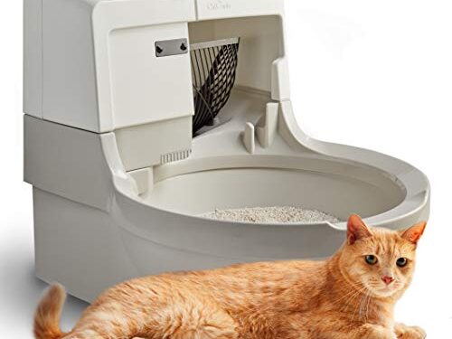 Litter Box Maintenance