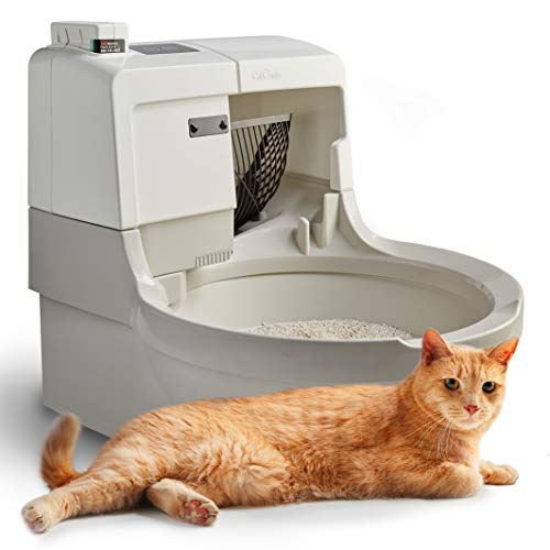 Litter Box Maintenance