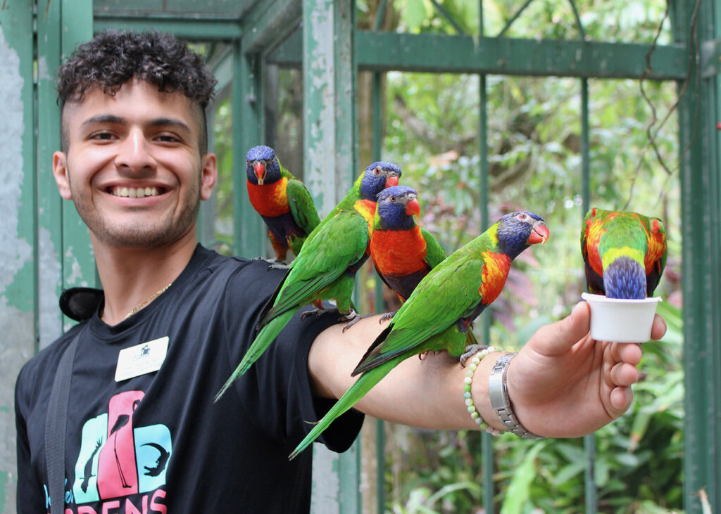 Lorikeet-Encounter-Challenges in Avian Nutrition