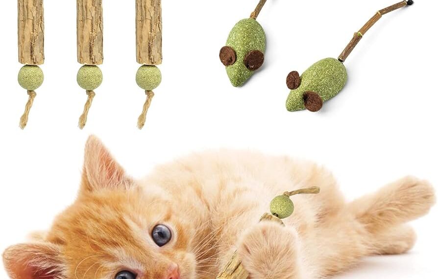 Maintaining Cat Toys