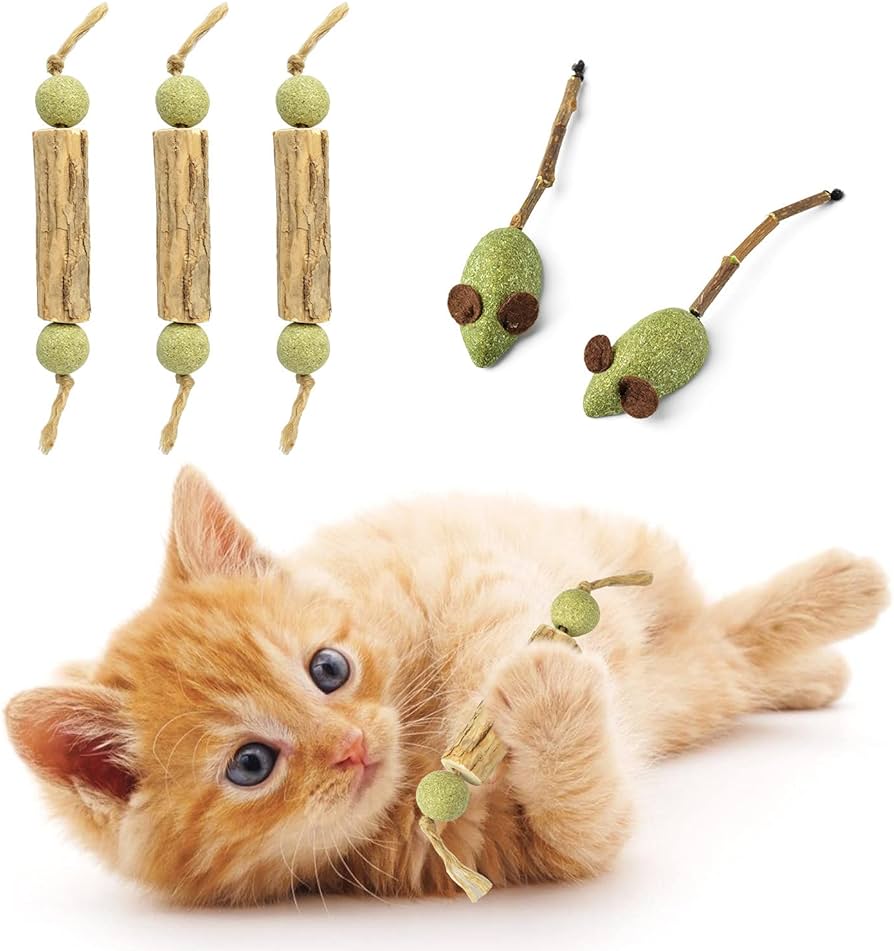 Maintaining Cat Toys