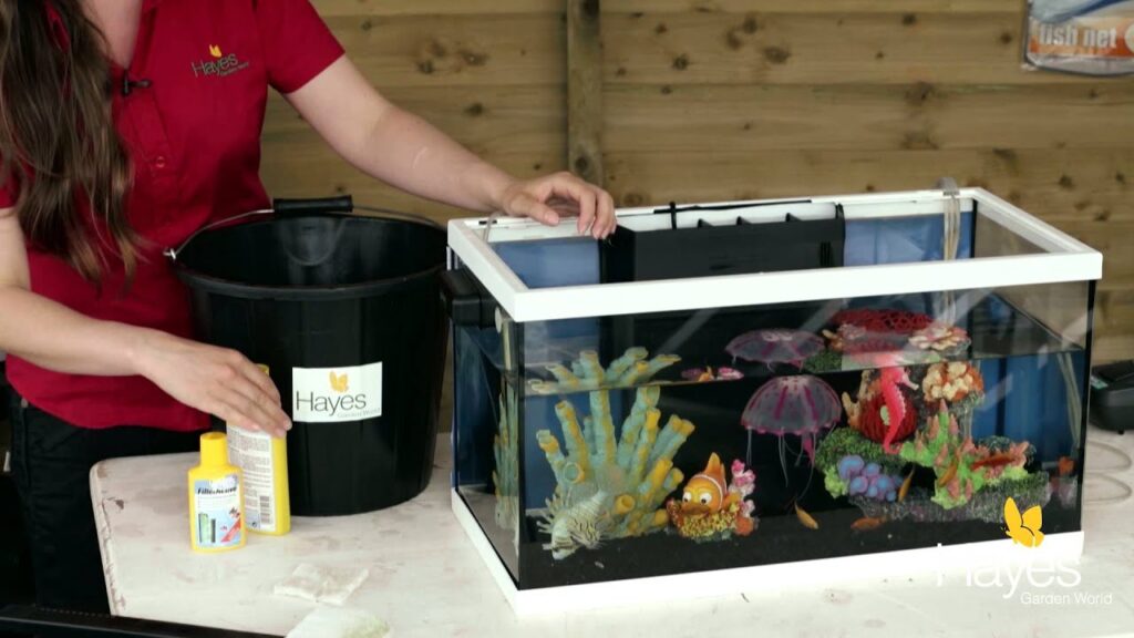 Maintaining Your Aquarium