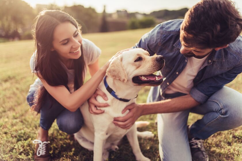 Pet insurance can help manage the costs