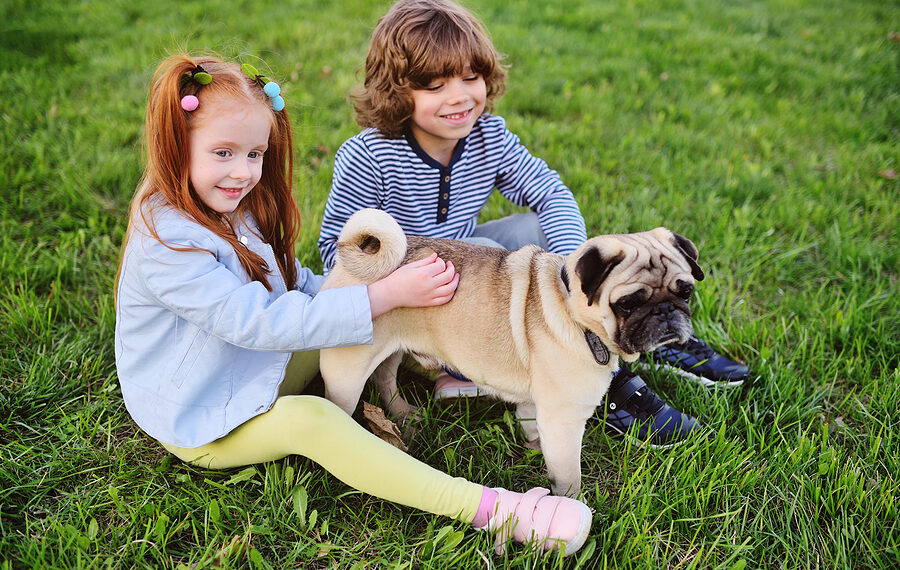 pug for kids