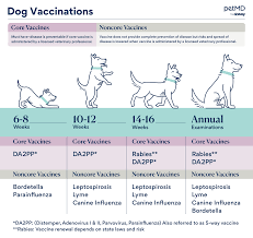 Puppy Vaccination Schedule