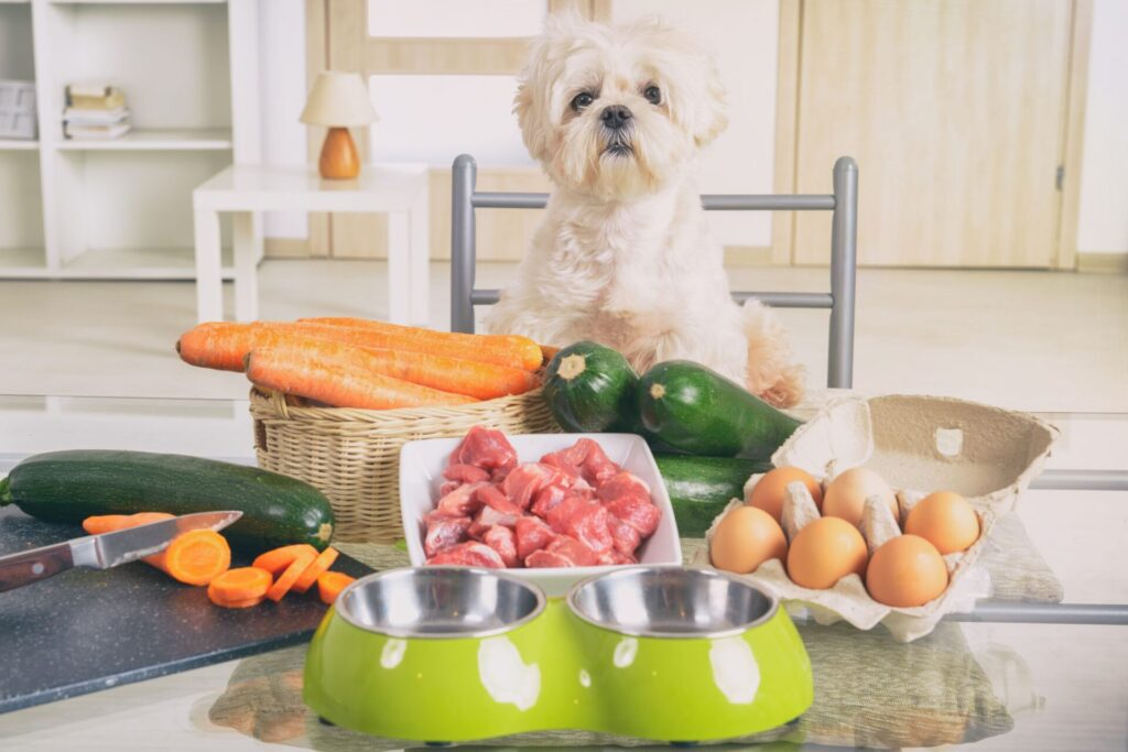 Tailoring Your Dog’s Diet for Optimal Health1