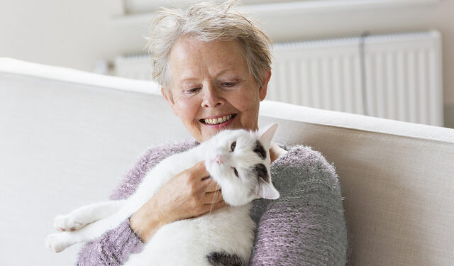 The Joy of Cat Companionship for Seniors