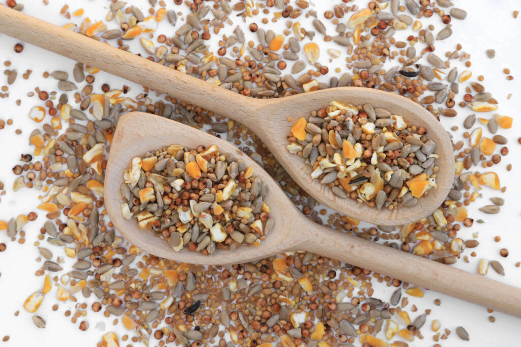 The Seeds of Success Essential Bird Foods