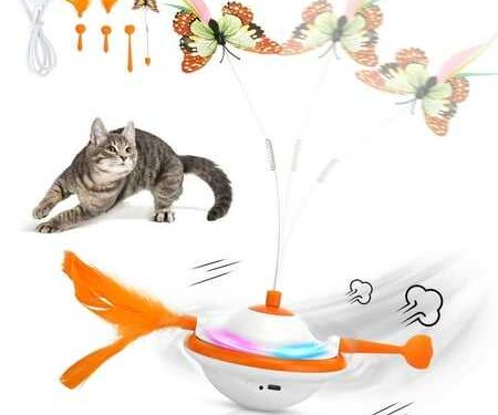 Top Cat Toys and How to Rotate Them