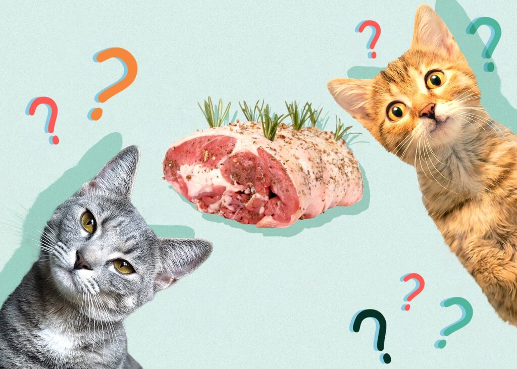 Understanding Feline Nutritional Needs1