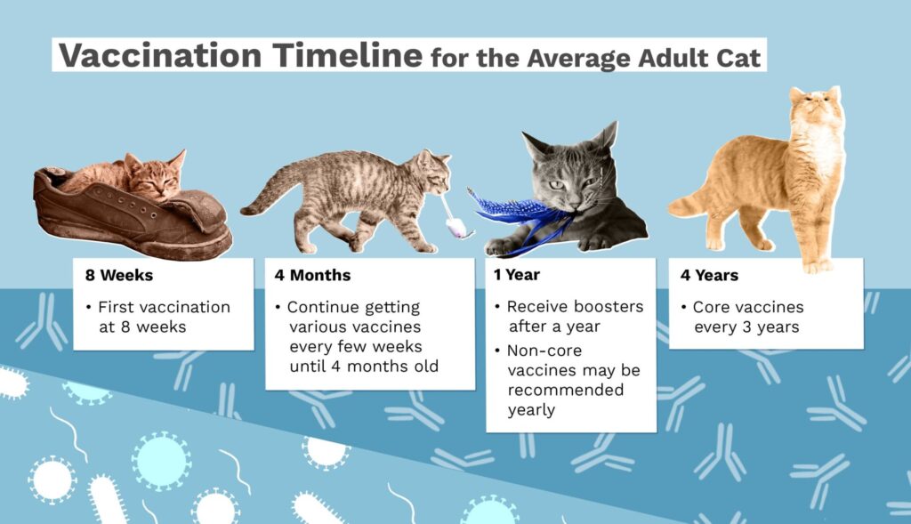 Vaccination Schedule and Types