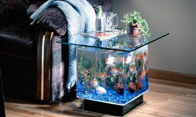 Water Quality for Feng Shui Fish Tanks2