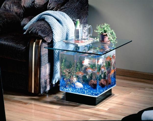 Water Quality for Feng Shui Fish Tanks2