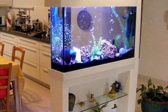 Welcoming Entryway Aquarium