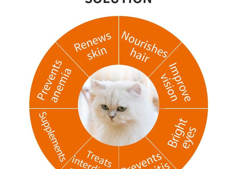 Essential Vitamins and Minerals for Cats