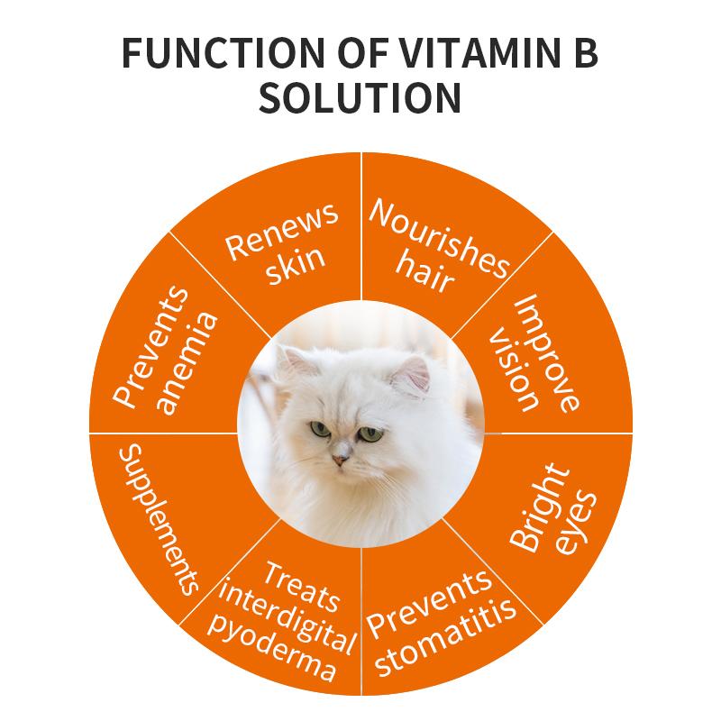 Essential Vitamins and Minerals for Cats