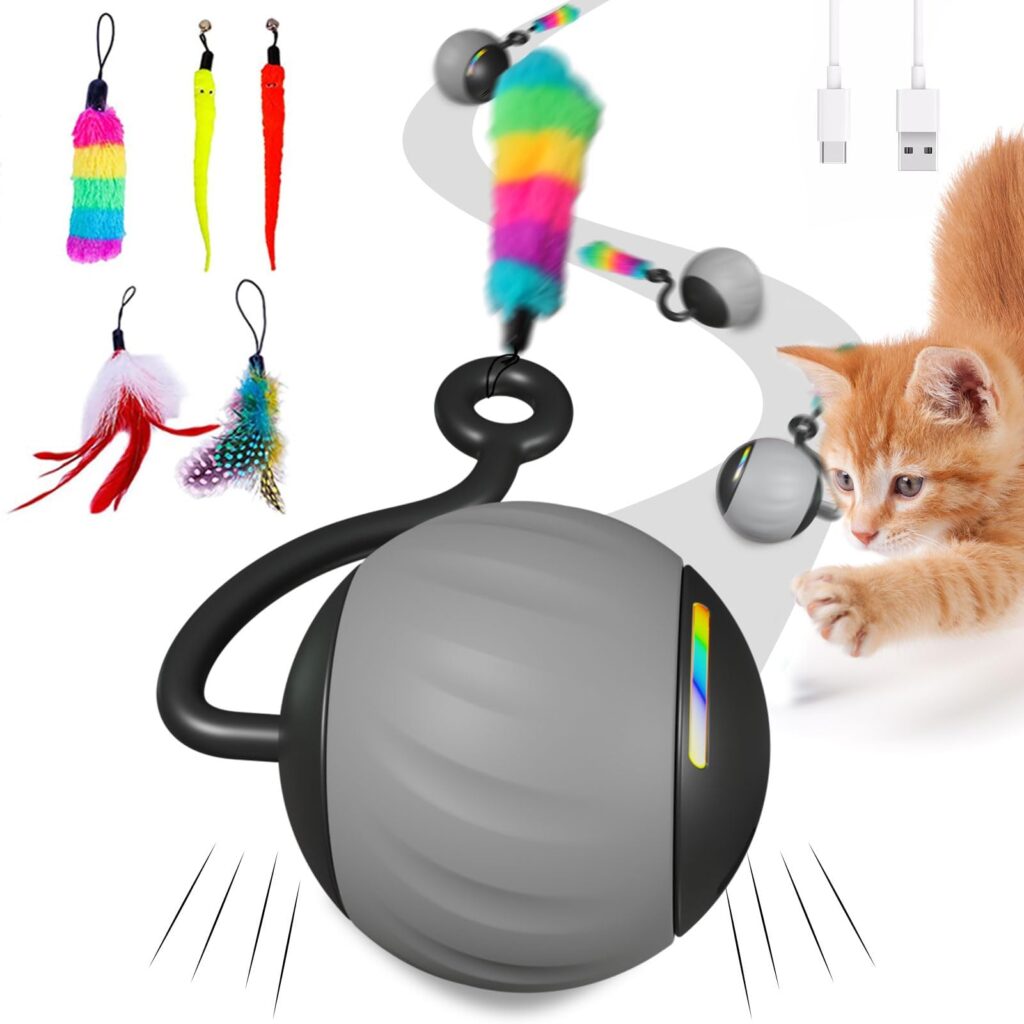 Choosing the Best Cat Toys