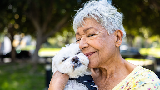 Best Small Dog Breeds for Elderly People