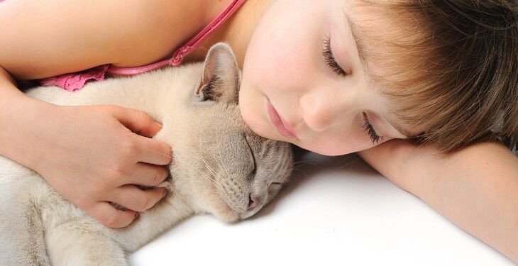 Friendly Small Cat Breeds That Are Good with Children