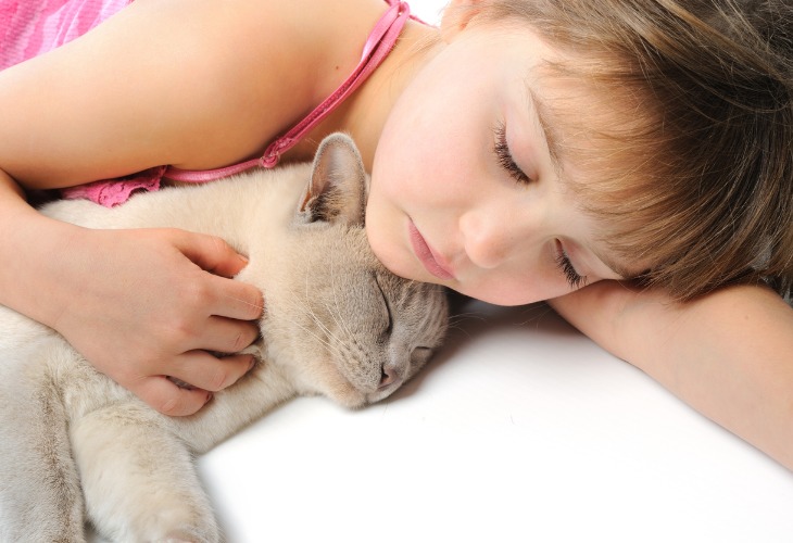 Friendly Small Cat Breeds That Are Good with Children