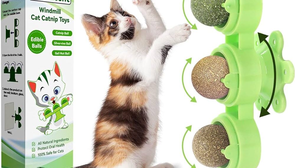 Choosing the Best Cat Toys