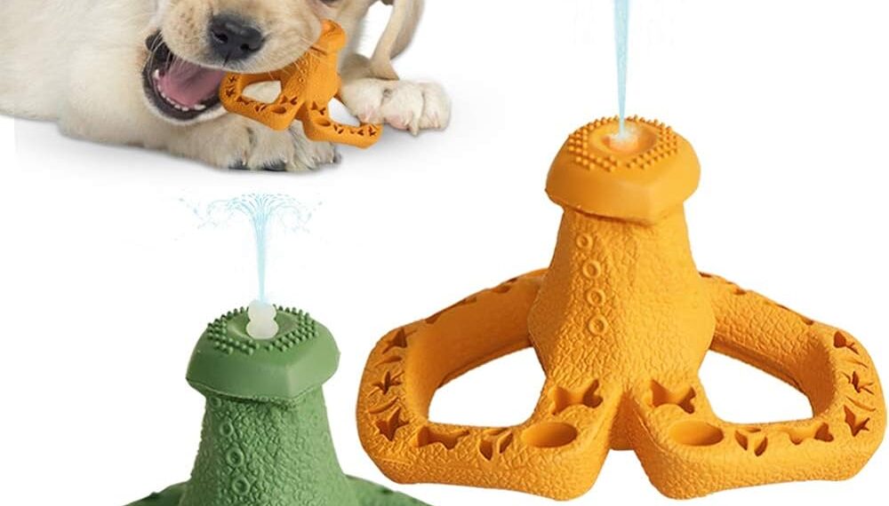 Best Dog Toys