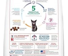 The Importance of Understanding Kitten Food Labels