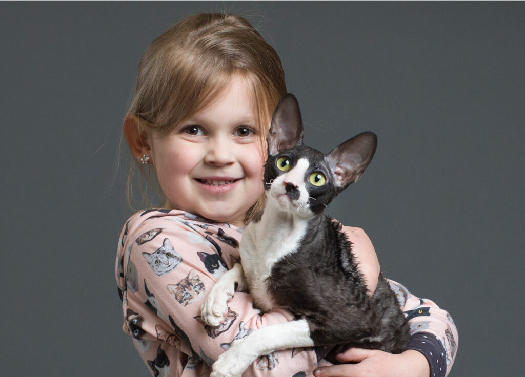 Friendly Small Cat Breeds That Are Good with Children