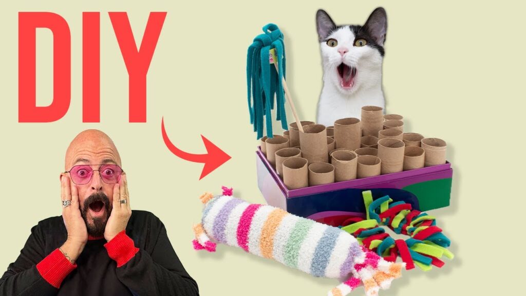 Types of Best Cat Toys for Adolescent Cats