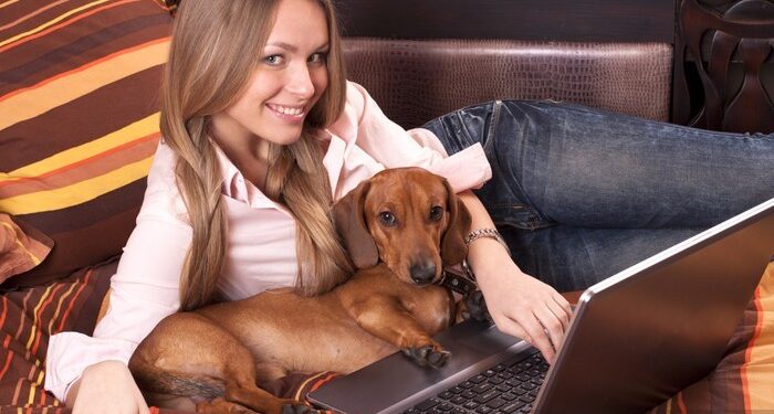 Top Small Dog Breeds for Home Workers