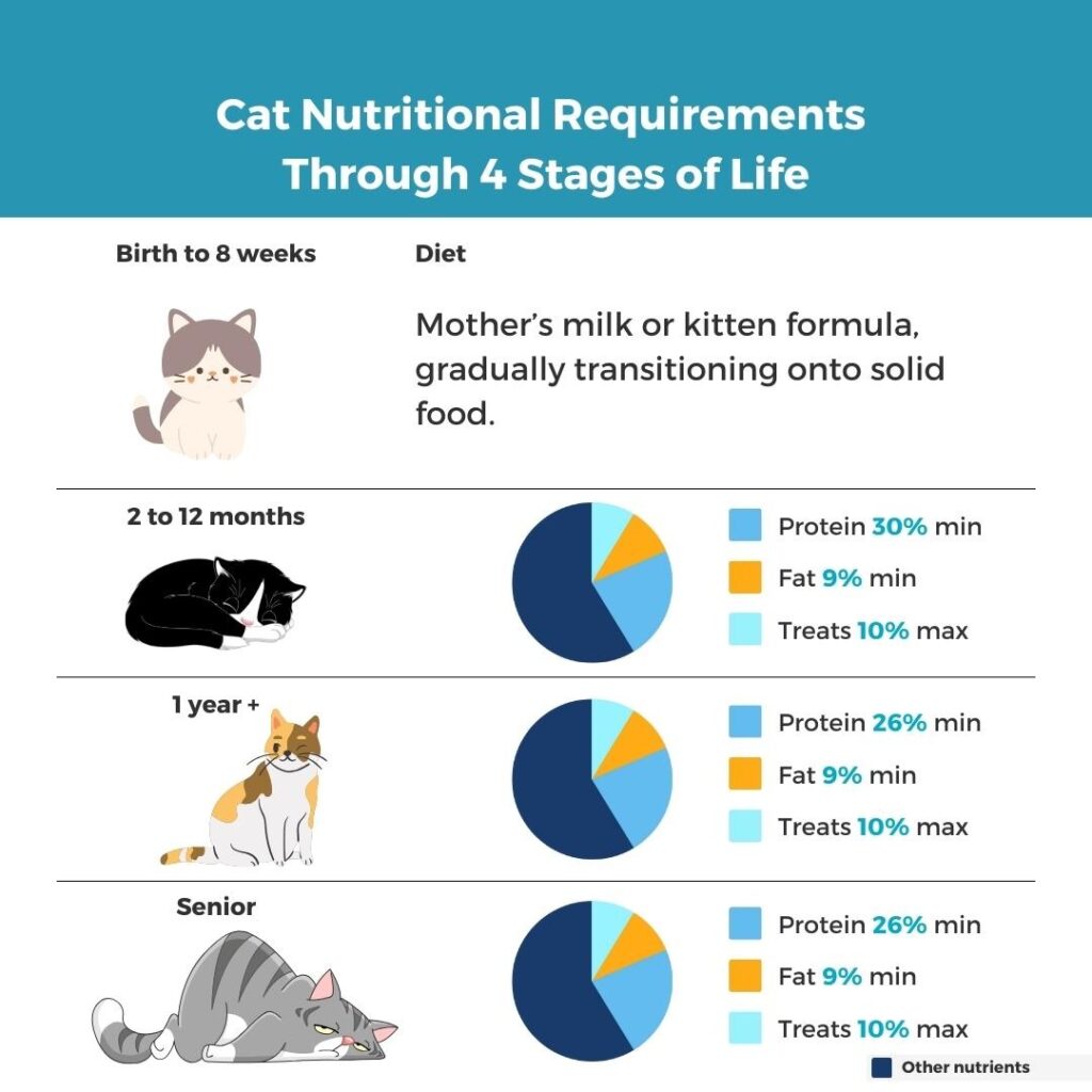 signs of nutritional deficiencies in kittens